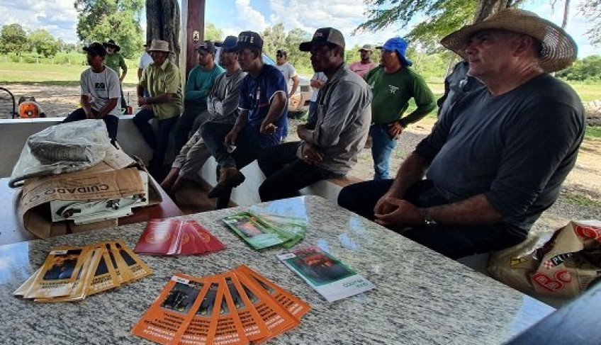 ASN Mato Grosso do Sul - Agência Sebrae de Notícias