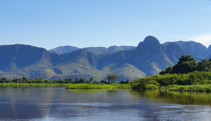ASN Mato Grosso do Sul - Agência Sebrae de Notícias