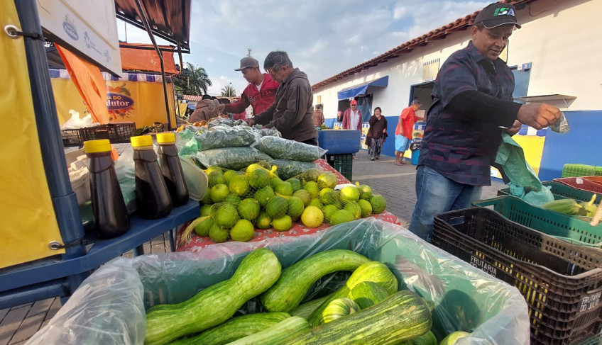 ASN Mato Grosso do Sul - Agência Sebrae de Notícias