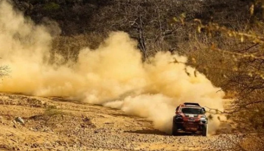 ASN Mato Grosso do Sul - Agência Sebrae de Notícias