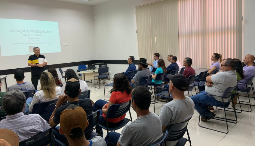 ASN Mato Grosso do Sul - Agência Sebrae de Notícias