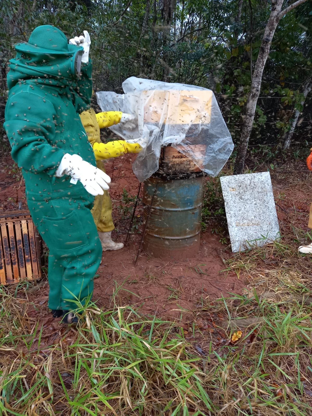 Produtores rurais de mel participam de ação profissionalizante em MS