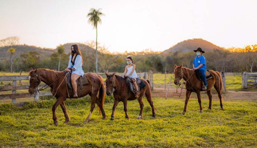 ASN Mato Grosso do Sul - Agência Sebrae de Notícias
