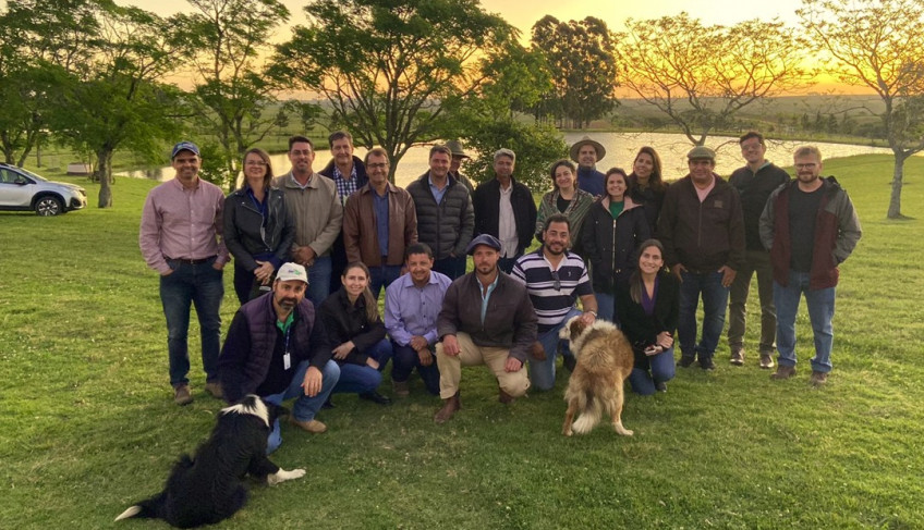 ASN Mato Grosso do Sul - Agência Sebrae de Notícias