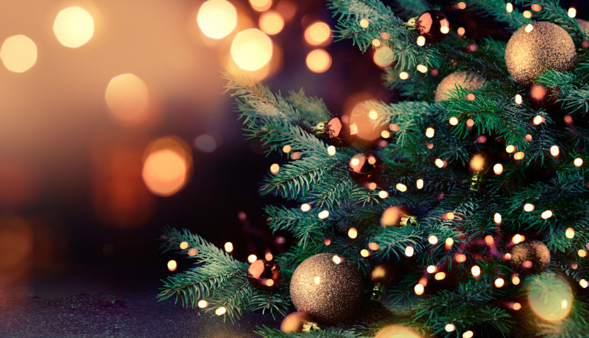 ASN Mato Grosso do Sul - Agência Sebrae de Notícias