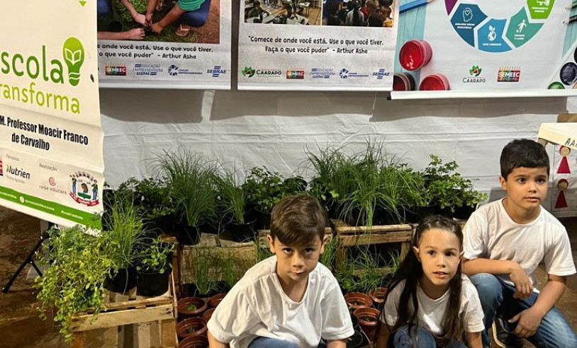 ASN Mato Grosso do Sul - Agência Sebrae de Notícias