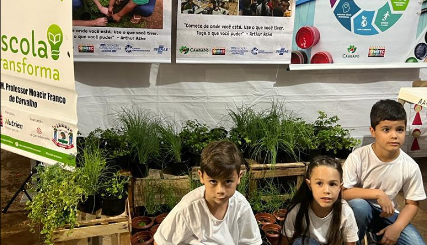 ASN Mato Grosso do Sul - Agência Sebrae de Notícias