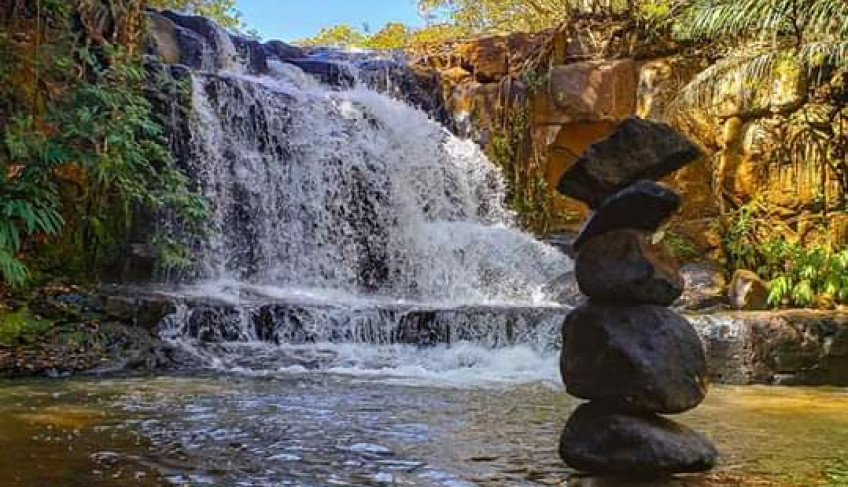 ASN Mato Grosso do Sul - Agência Sebrae de Notícias