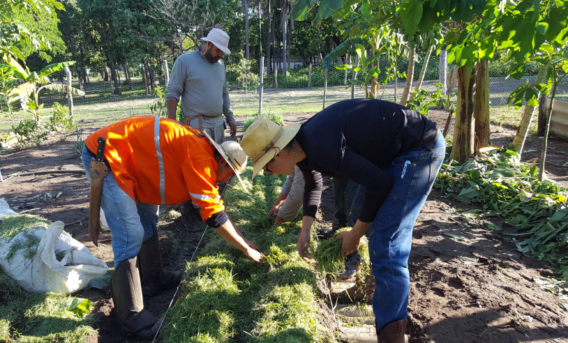 ASN Mato Grosso do Sul - Agência Sebrae de Notícias