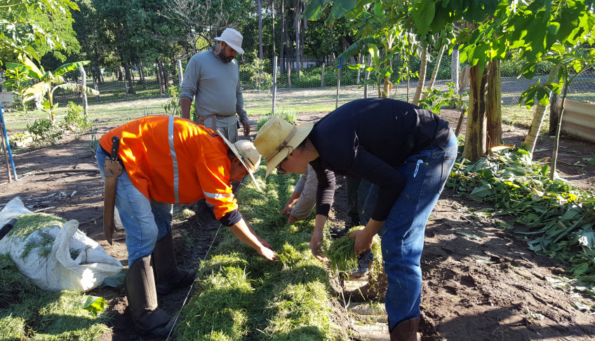 ASN Mato Grosso do Sul - Agência Sebrae de Notícias