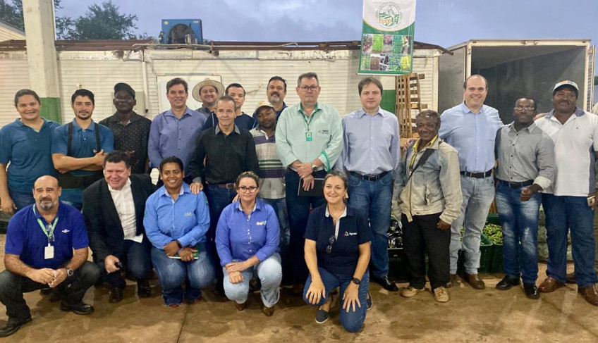 ASN Mato Grosso do Sul - Agência Sebrae de Notícias