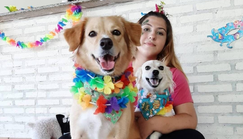 ASN Mato Grosso do Sul - Agência Sebrae de Notícias