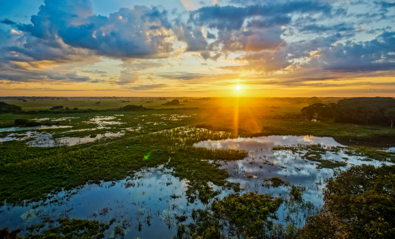 ASN Mato Grosso do Sul - Agência Sebrae de Notícias