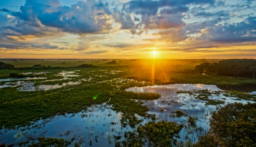 ASN Mato Grosso do Sul - Agência Sebrae de Notícias
