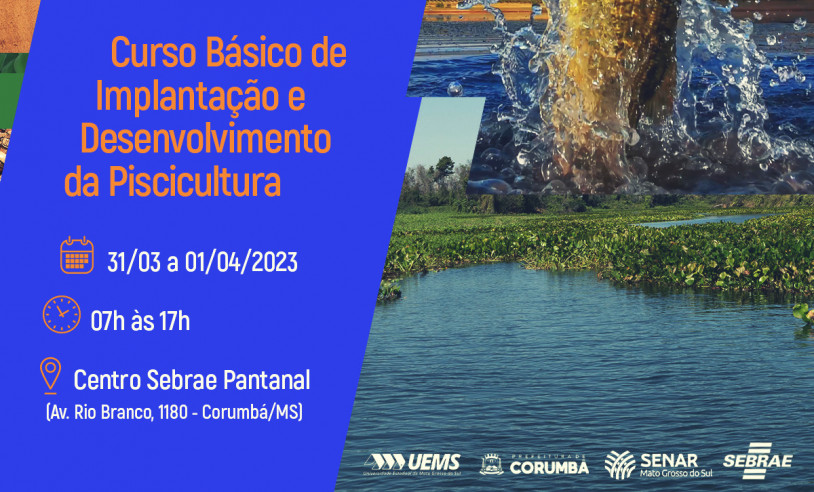 ASN Mato Grosso do Sul - Agência Sebrae de Notícias