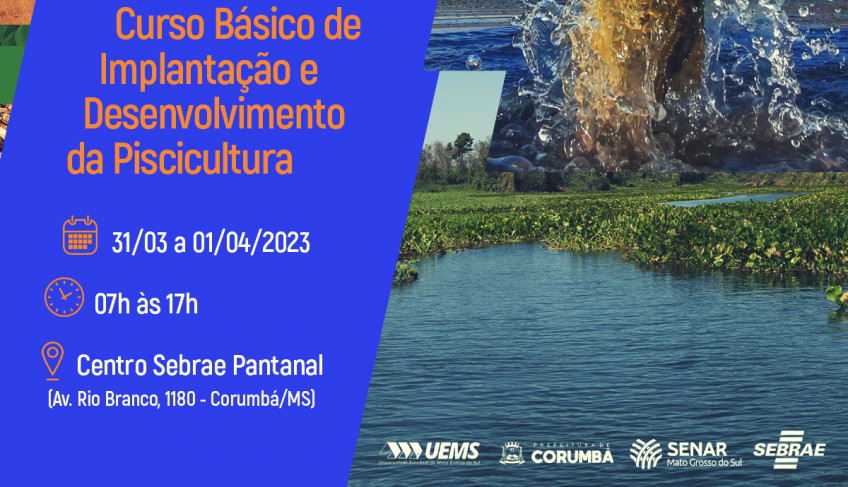 ASN Mato Grosso do Sul - Agência Sebrae de Notícias