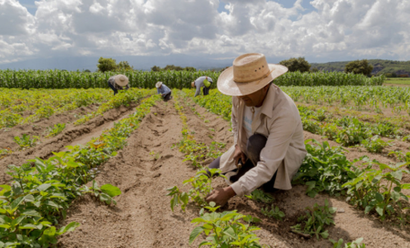 ASN Mato Grosso do Sul - Agência Sebrae de Notícias