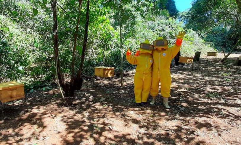 ASN Mato Grosso do Sul - Agência Sebrae de Notícias