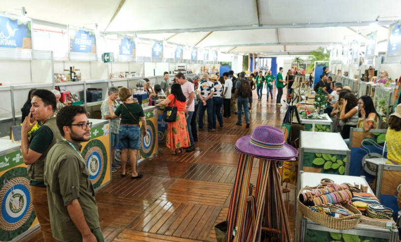 ASN Mato Grosso do Sul - Agência Sebrae de Notícias