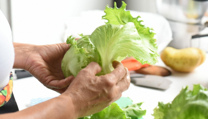 ASN Mato Grosso do Sul - Agência Sebrae de Notícias