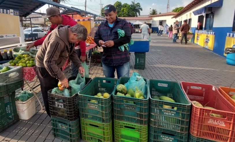 ASN Mato Grosso do Sul - Agência Sebrae de Notícias