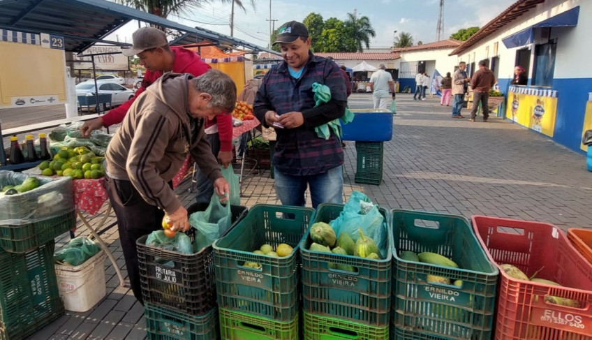 ASN Mato Grosso do Sul - Agência Sebrae de Notícias