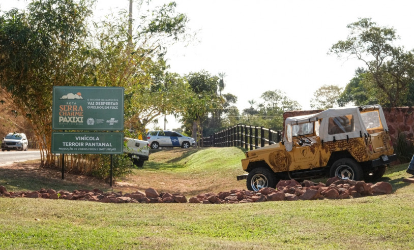 ASN Mato Grosso do Sul - Agência Sebrae de Notícias