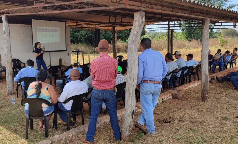 ASN Mato Grosso do Sul - Agência Sebrae de Notícias