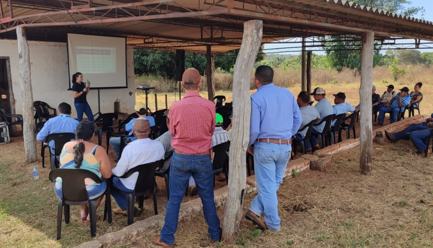 ASN Mato Grosso do Sul - Agência Sebrae de Notícias