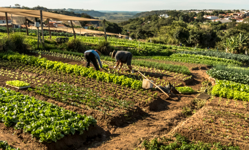 ASN Mato Grosso do Sul - Agência Sebrae de Notícias