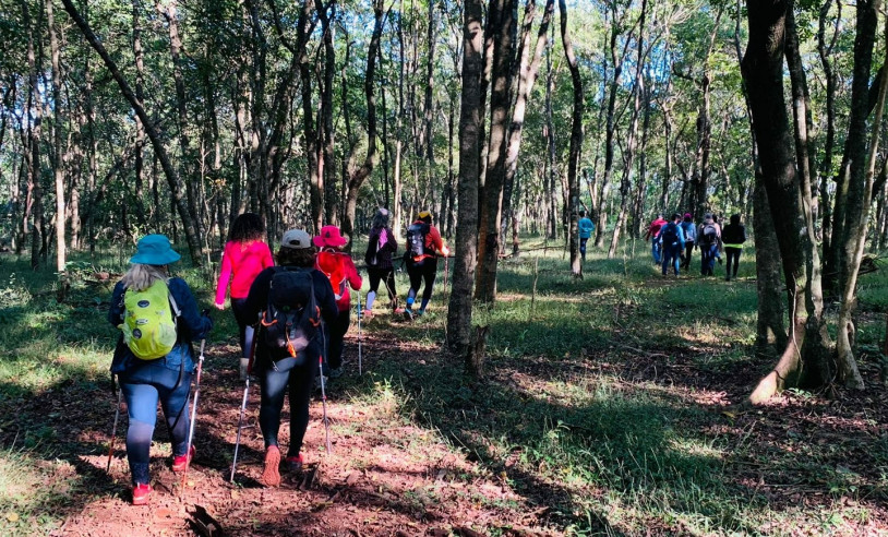 ASN Mato Grosso do Sul - Agência Sebrae de Notícias