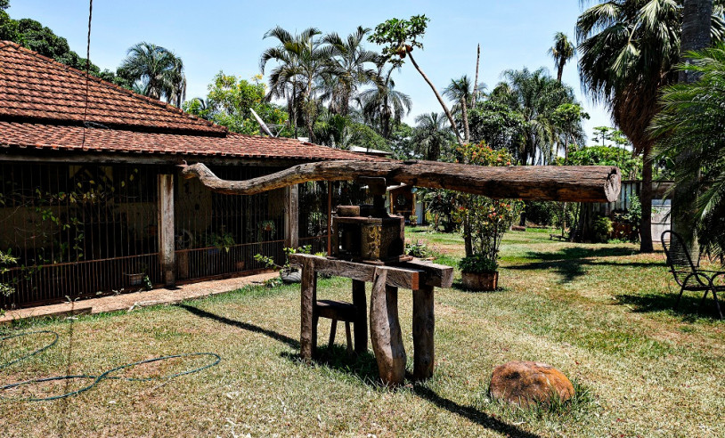 ASN Mato Grosso do Sul - Agência Sebrae de Notícias