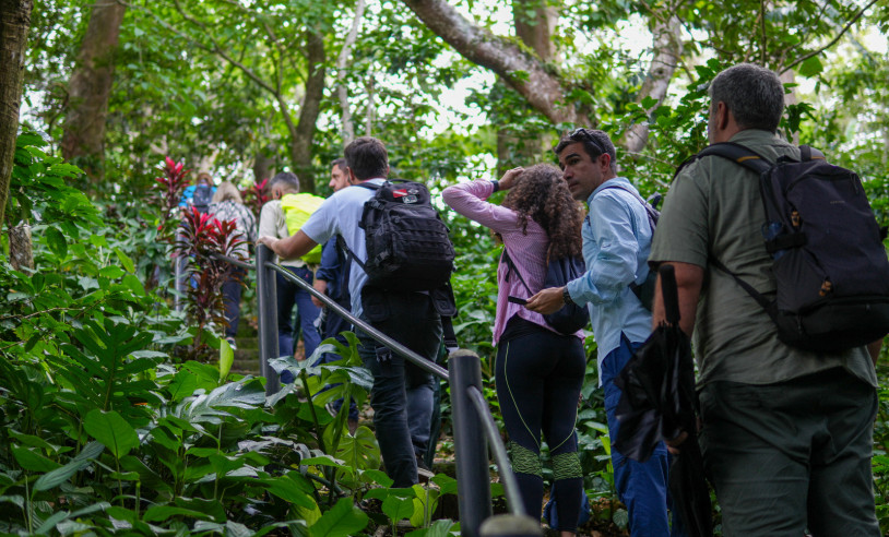 ASN Mato Grosso do Sul - Agência Sebrae de Notícias