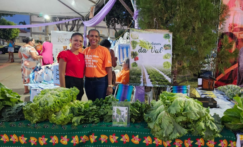 ASN Mato Grosso do Sul - Agência Sebrae de Notícias