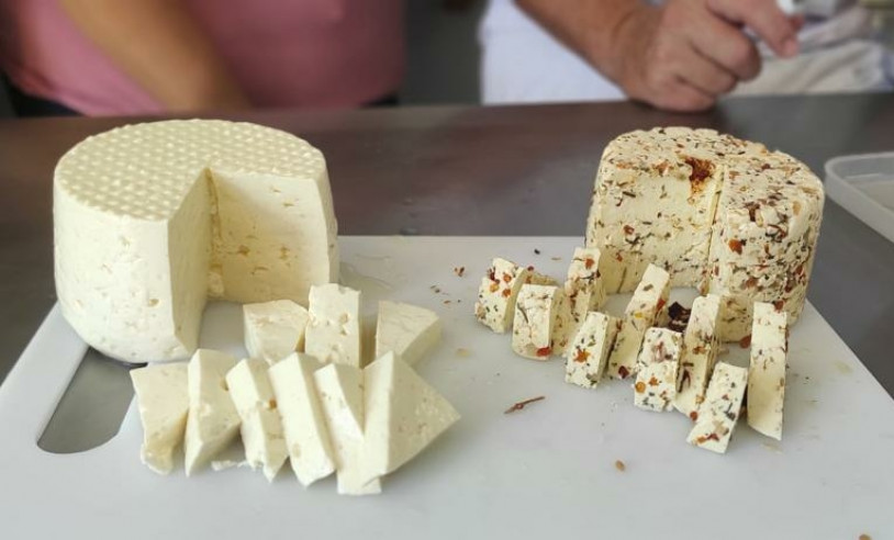 ASN Mato Grosso do Sul - Agência Sebrae de Notícias