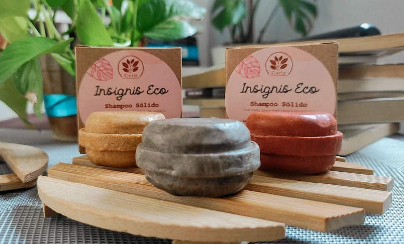 ASN Mato Grosso do Sul - Agência Sebrae de Notícias