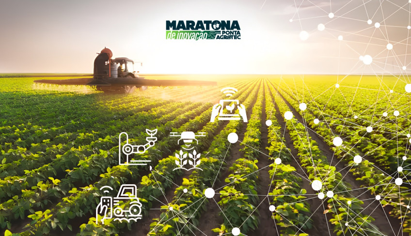 ASN Mato Grosso do Sul - Agência Sebrae de Notícias