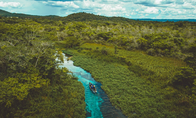 ASN Mato Grosso do Sul - Agência Sebrae de Notícias