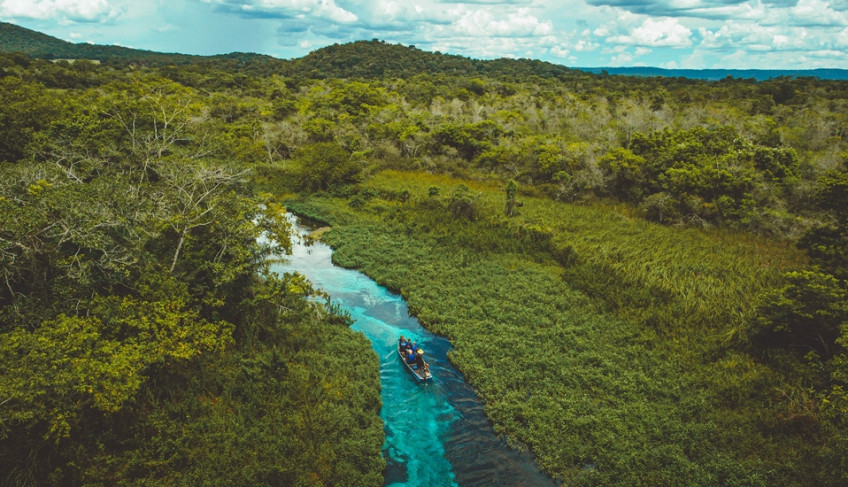 ASN Mato Grosso do Sul - Agência Sebrae de Notícias
