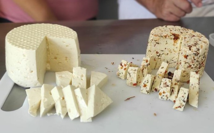 Delas Day traz oficinas práticas para impulsionar geração de renda