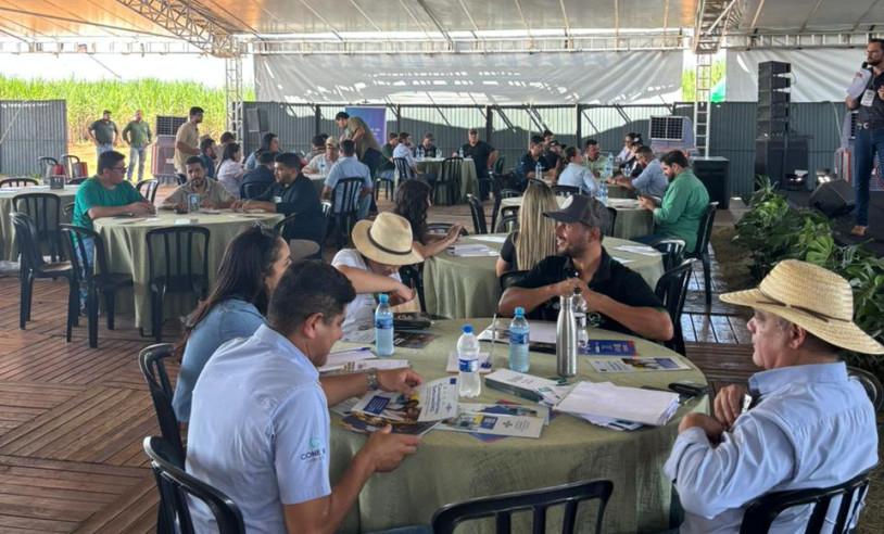 ASN Mato Grosso do Sul - Agência Sebrae de Notícias