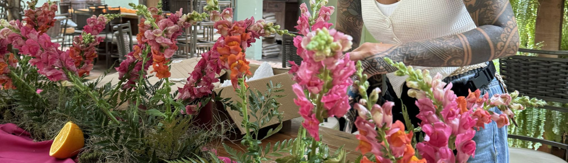 ASN Mato Grosso do Sul - Agência Sebrae de Notícias